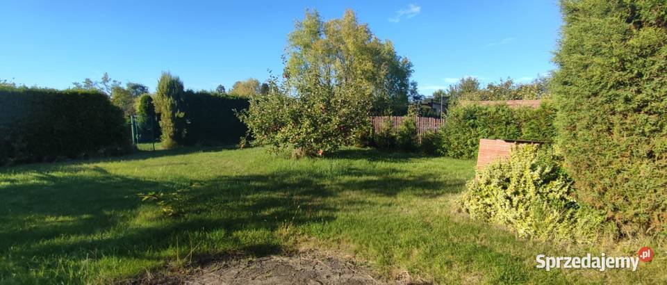 Działka ROD Konwalia Pyskowice 117zł/m2 Sprzedaż