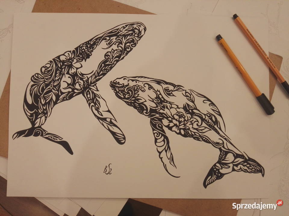 Rysunek wieloryby 2 cienkopis blok tech A3 250 mazowieckie Warszawa sprzedam