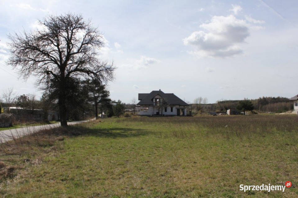 Pomiechówek Wymysły 1715m2 budowlana 38 do