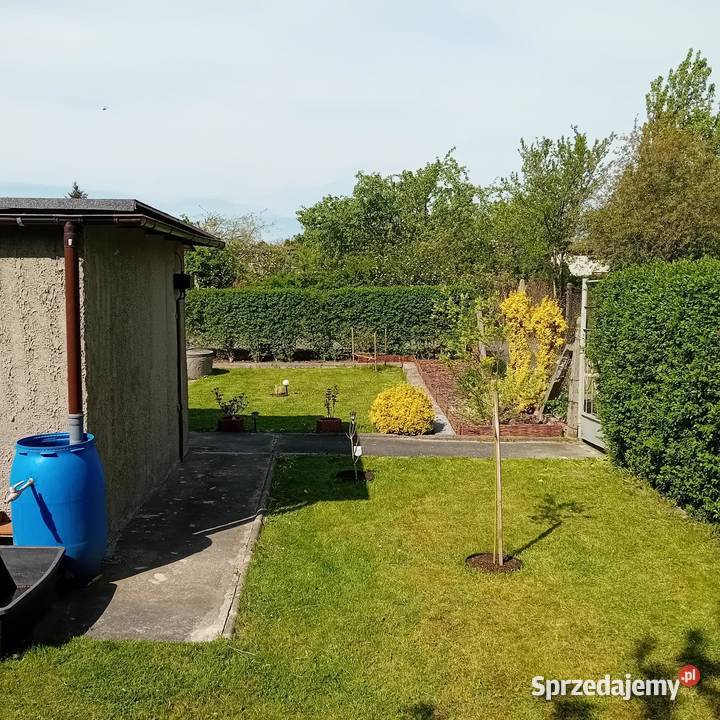 ROD 1go Maja w Gliwicach śląskie Gliwice sprzedam