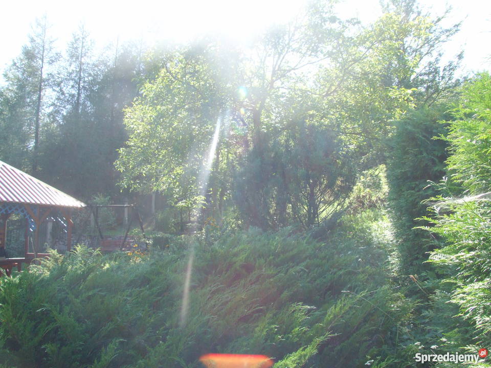 Piękna działka w Siemieniu Nadrzecznym rekreacyjna Siemień Nadrzeczny