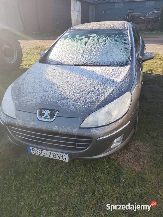 Peugeot 407 diesel sedan Krasnopol