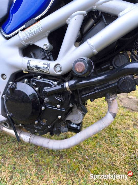 Suzuki SV 650 1999 benzyna Mielec sprzedam