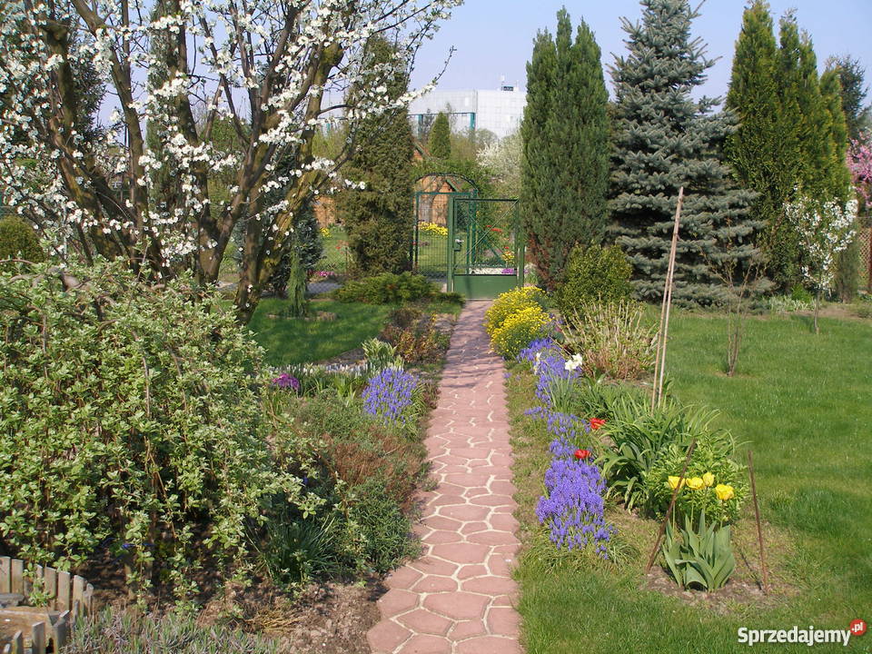sprzedam ogródek działkowy Pozostałe Ogród mazowieckie Warszawa