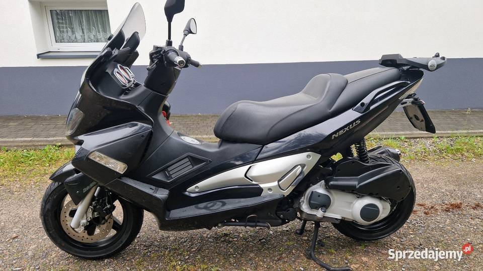 Galera Nexus 25007r Zadbanytransport świętokrzyskie Kielce