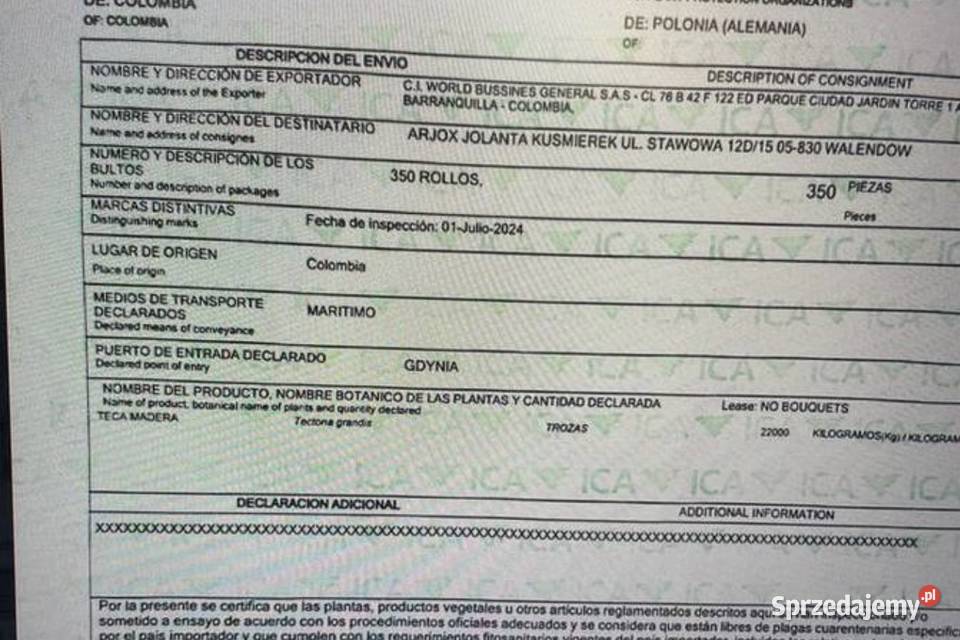 Kłody z drewna tekowego drewno teak Drewno konstrukcyjne