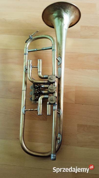 Trąbka skrzydlowa małopolskie sprzedam
