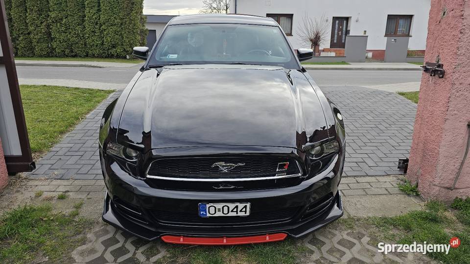 Mustang Premium 37 305 81000TKM ROUSH opolskie Głogówek