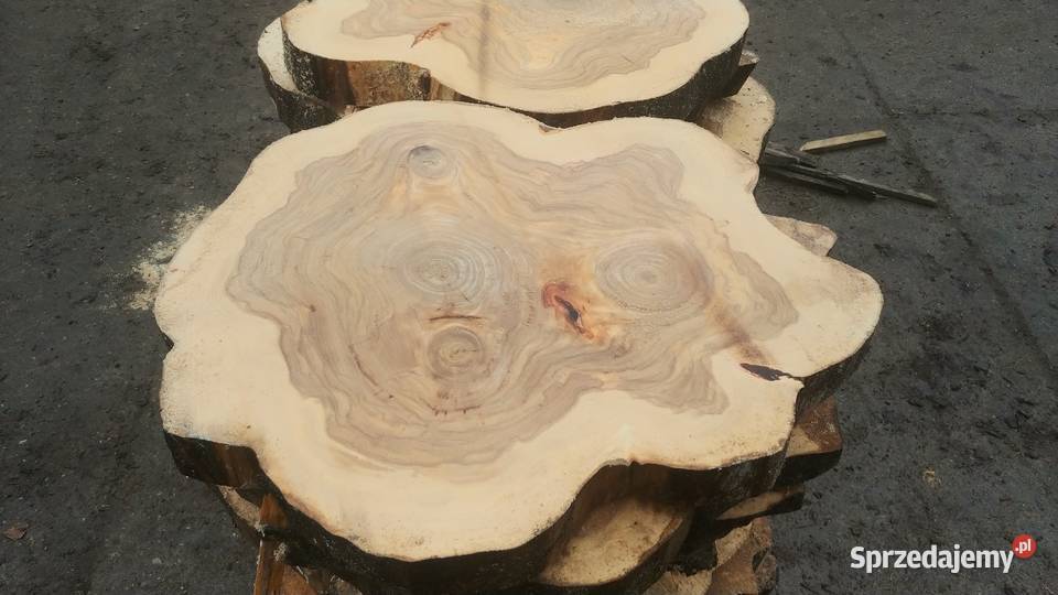 Plastry talary krążki drewna Pieńki na stolik małopolskie Izdebnik