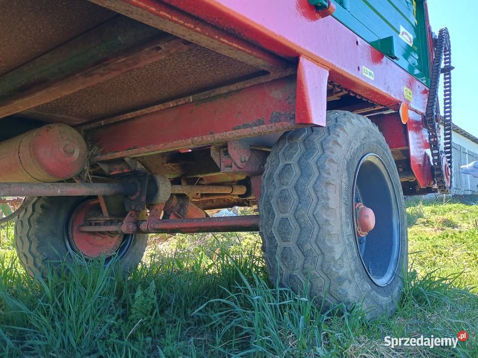 Rozrzutnik Carna Bialostocka nieuszkodzony pomorskie