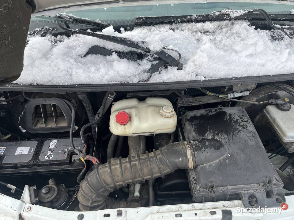 Reno mascott 2001 nieuszkodzony Częstochowa