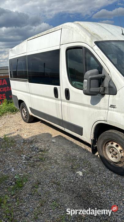 Bus osobowy Fiat DUCATO 30 MULTIJET Rok produkcji 2008 Łukowa