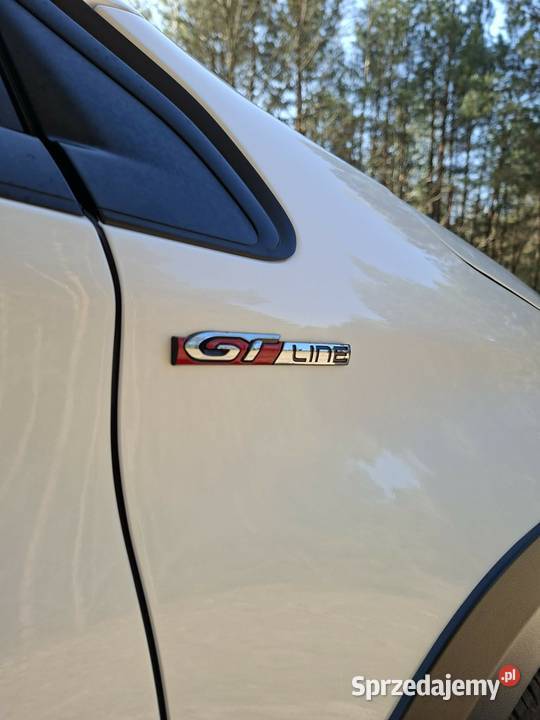 Peugeot 2008 16 120 BlueHdi Niedźwiada