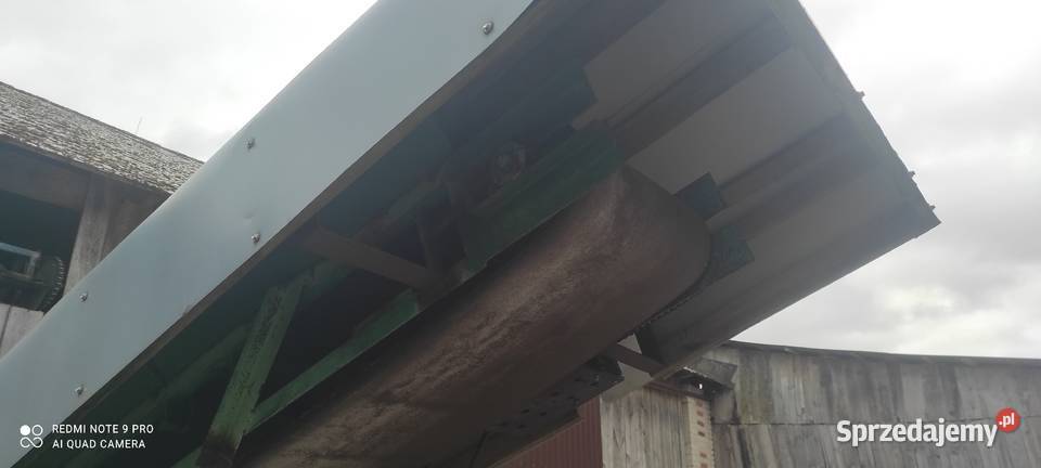 Taśmociąg do chmielu itp Rogów