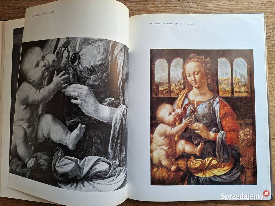 Leonardo da Vinci j rumuński Książki naukowe i popularnonaukowe Kraków