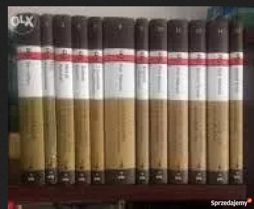 Polskie Państwo Podziemne książki nowe Ziębice dolnośląskie