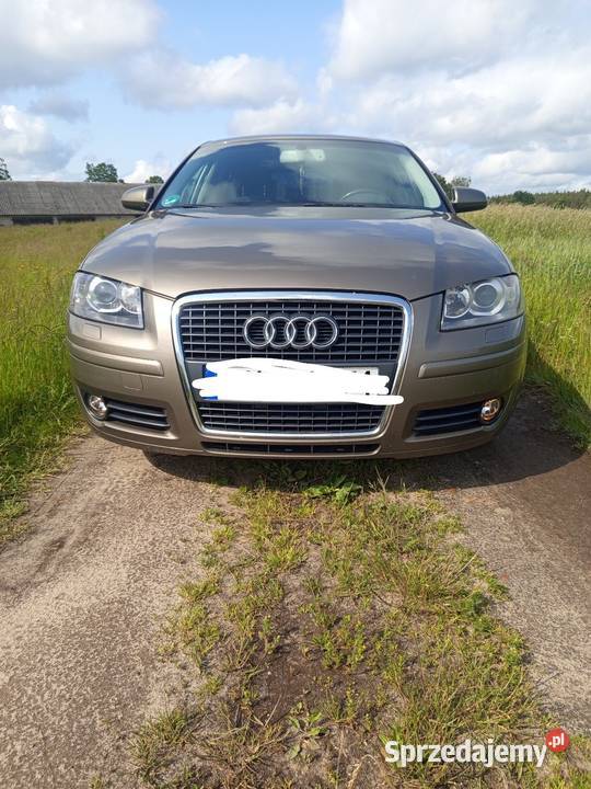 Audi S3 8P 20TDI 140 Zblewo sprzedam