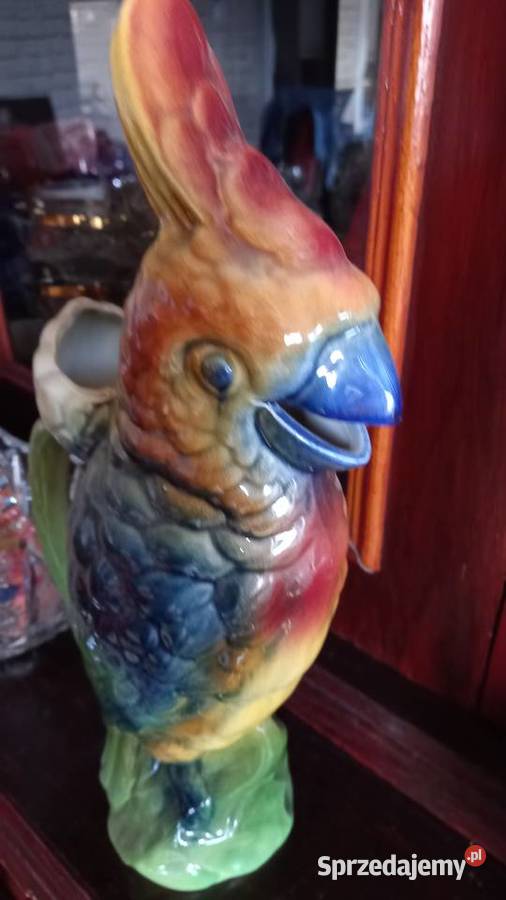 Dzbanekkonefka Papuga