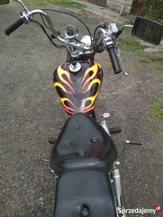 Xintian XT50 kingway łoś Opoczno