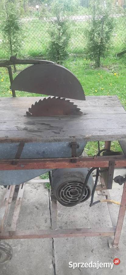 Cyrkularka krajzega Kozy