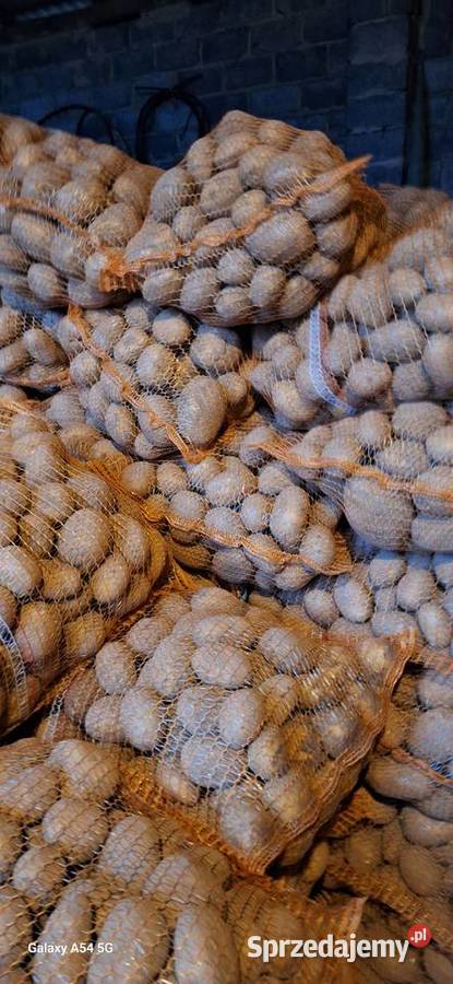 Ziemniaki soraya Jelcza