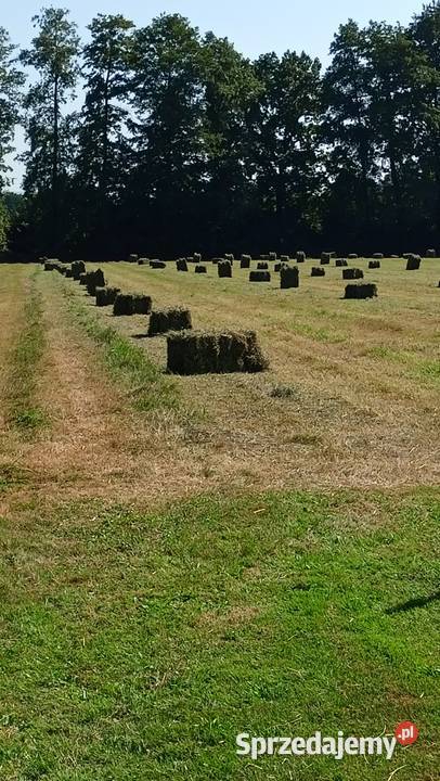 Siano w kostkach Ochaby Małe