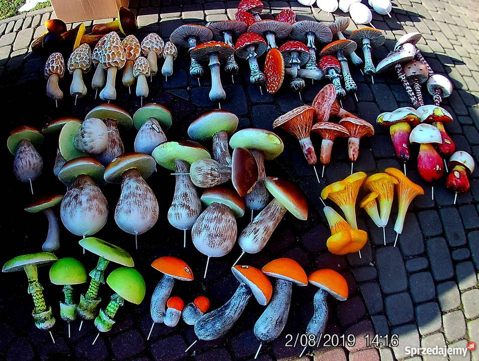 Grzyby styropianowe Górki Wielkie