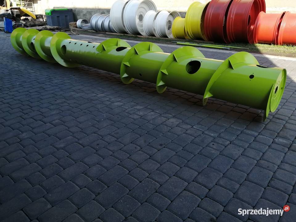 Żmijka hederu 540m Claas Wilkowo