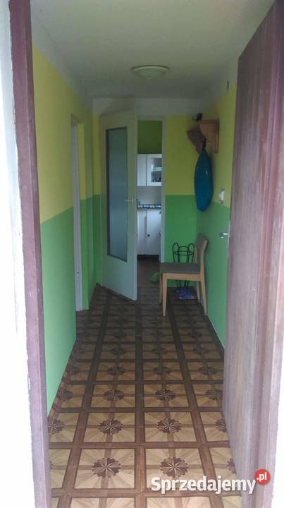 Sprzedam działkę z domkiem rekreacyjna Sprzedaż Myślenice