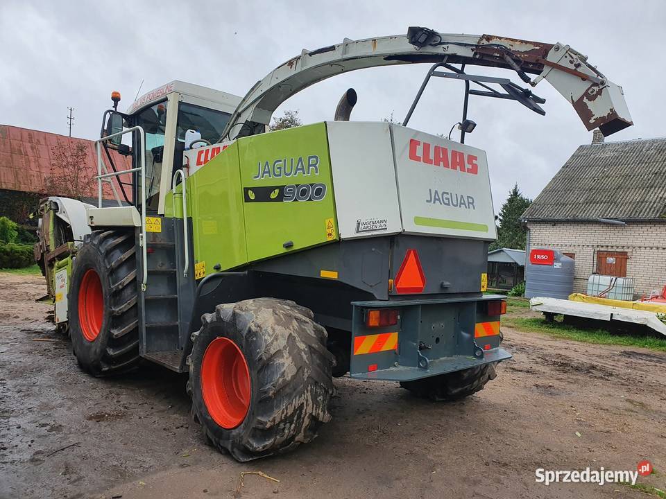 Claas Jaguar 890 840 sprowadzona dopieszczona Autopilot Kolnica