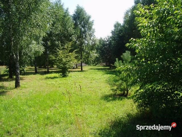 Łódź Okólna działki 800 do 3000 m2 os Dolina Łód Łódź