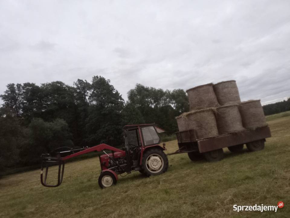 Siano suche sprzedam