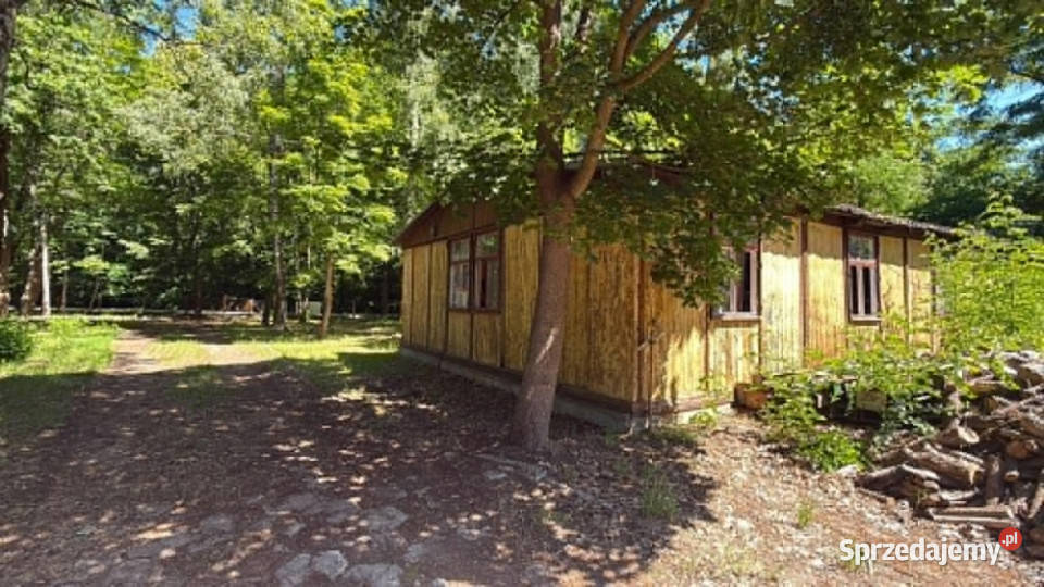 Na sprzedaż działka inwestycyjna Przyjezierze 14zł/m2 Nowa Wieś