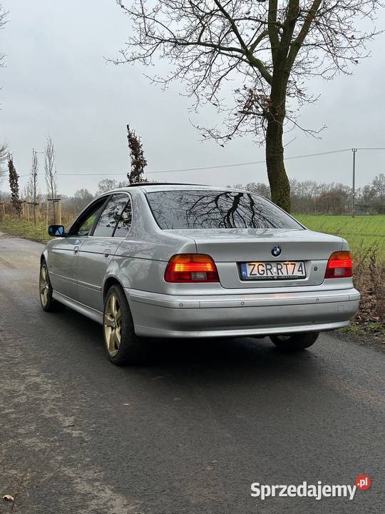 Bmw e39 POLIFT 525d m57 2002 213 koni zachodniopomorskie Stara Dąbrowa