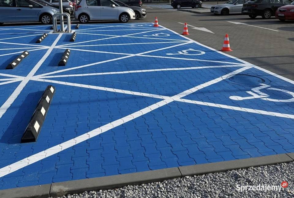 Oznakowanie poziome Katowice Śląsk malowanie Pozostałe usługi