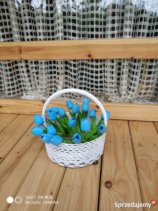 Tulipany lateksowe podkarpackie Straszęcin