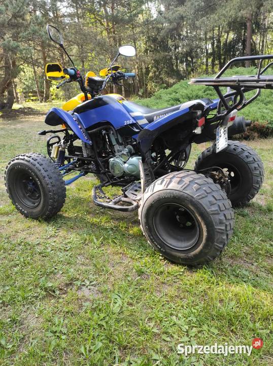 Quad Bashan BS250s nieuszkodzony śląskie Koziegłowy