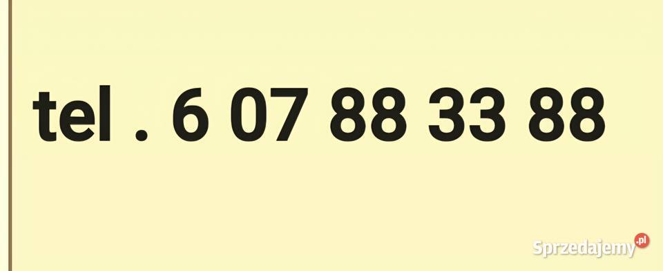Taksometr online novitus txe lampa Taxi małopolskie Śledziejowice sprzedam