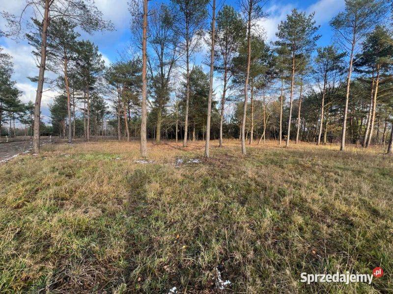 Działka z dostępem do jeziora Sumino mazowieckie sprzedam