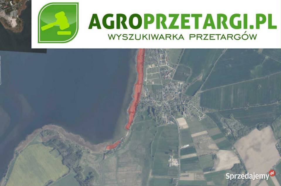 Dzierżawa 786 gruntu pod pozysk trzciny Wynajem Kamień Pomorski sprzedam