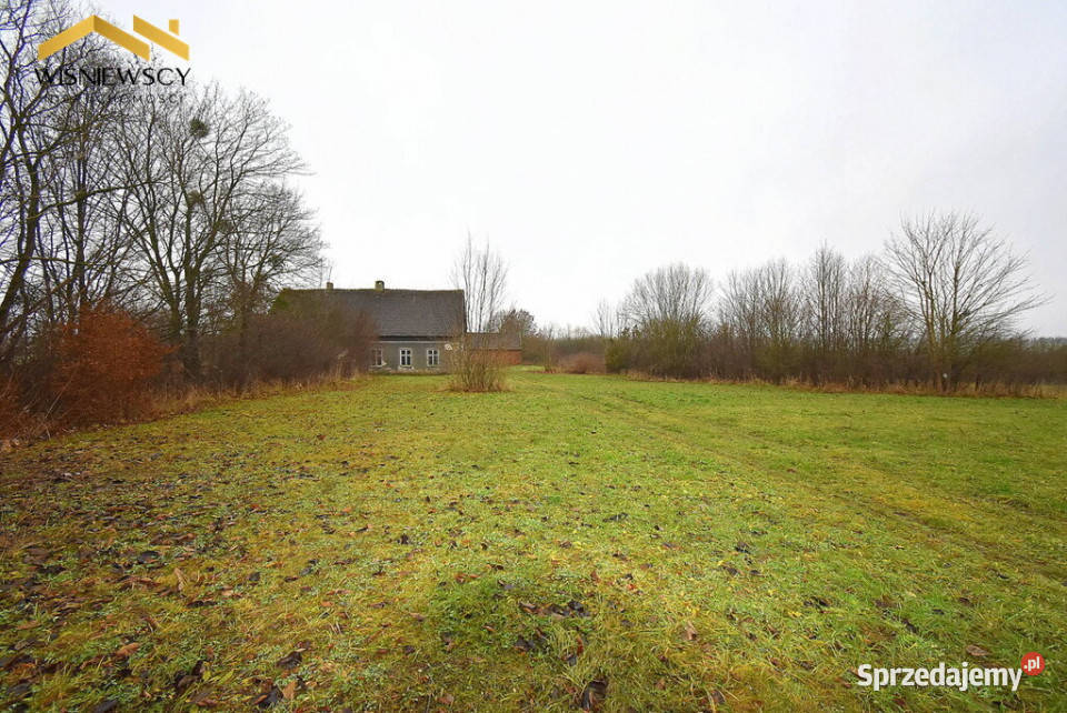 Siedlisko 9400m2 dom dwa budynki gospodarcze 190m2 Sprzedaż Głotowo