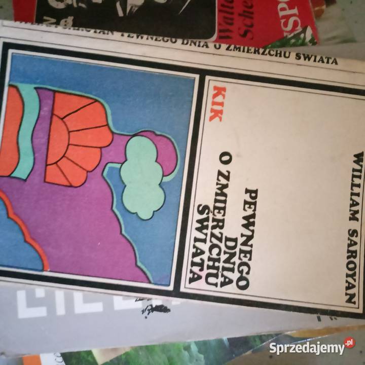 Pewnego dnia o zmierzchu świata Sarzyna książki