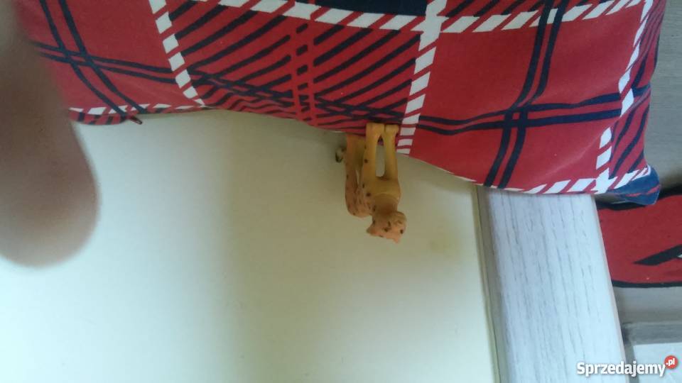 zabawka gepart Częstochowa