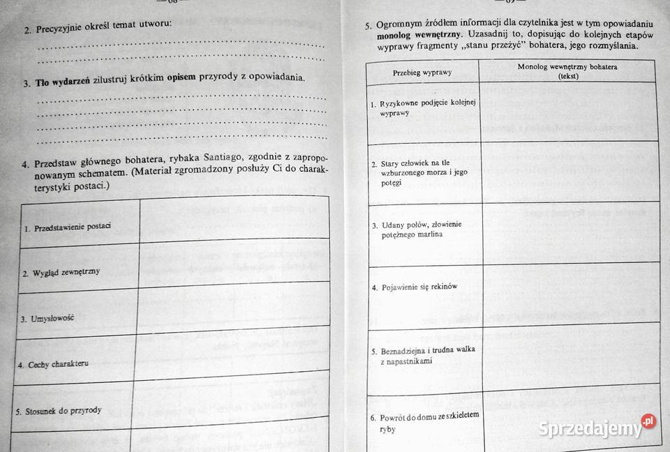 Język polski Zeszyt ćwiczeń kl 8 cz 2 Elżbieta Pozostałe lubelskie