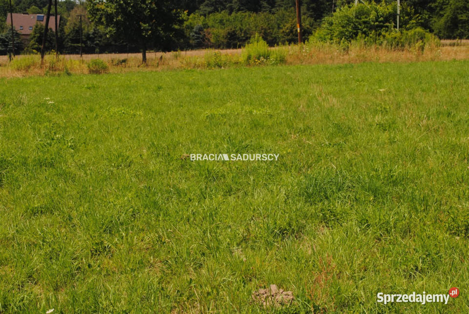 Ziemia Kryspinów 5500m2 Sprzedaż małopolskie