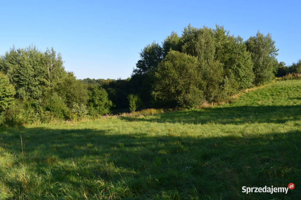Działki budowlane 10a do 47a w Tyczynie utwardzona Tyczyn