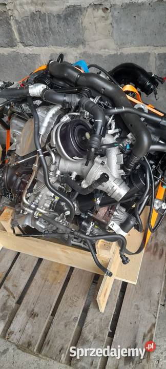 Silnik Ford RANGER Raptor 20 ECOBLUE BRATFORD terenowe