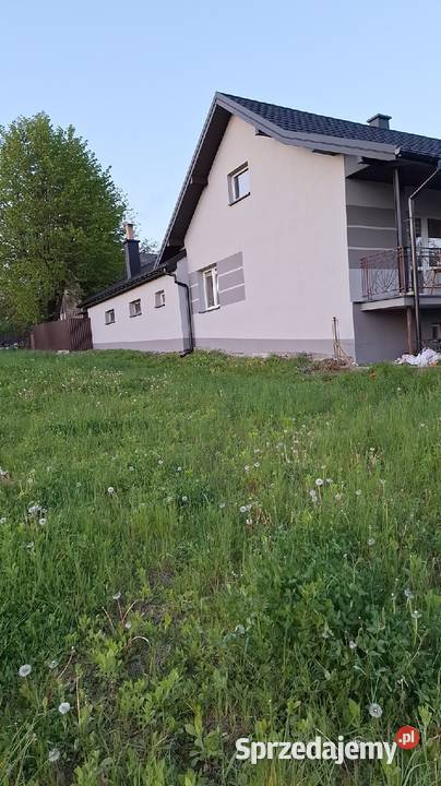 Elewacje budynków Niedźwiedź usługi budowlane