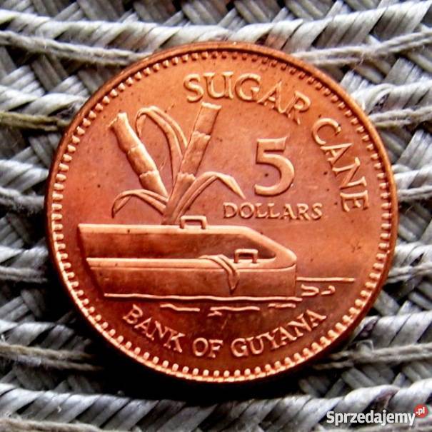 Gujana 1 Dolar 2008rŁadna Kalisz