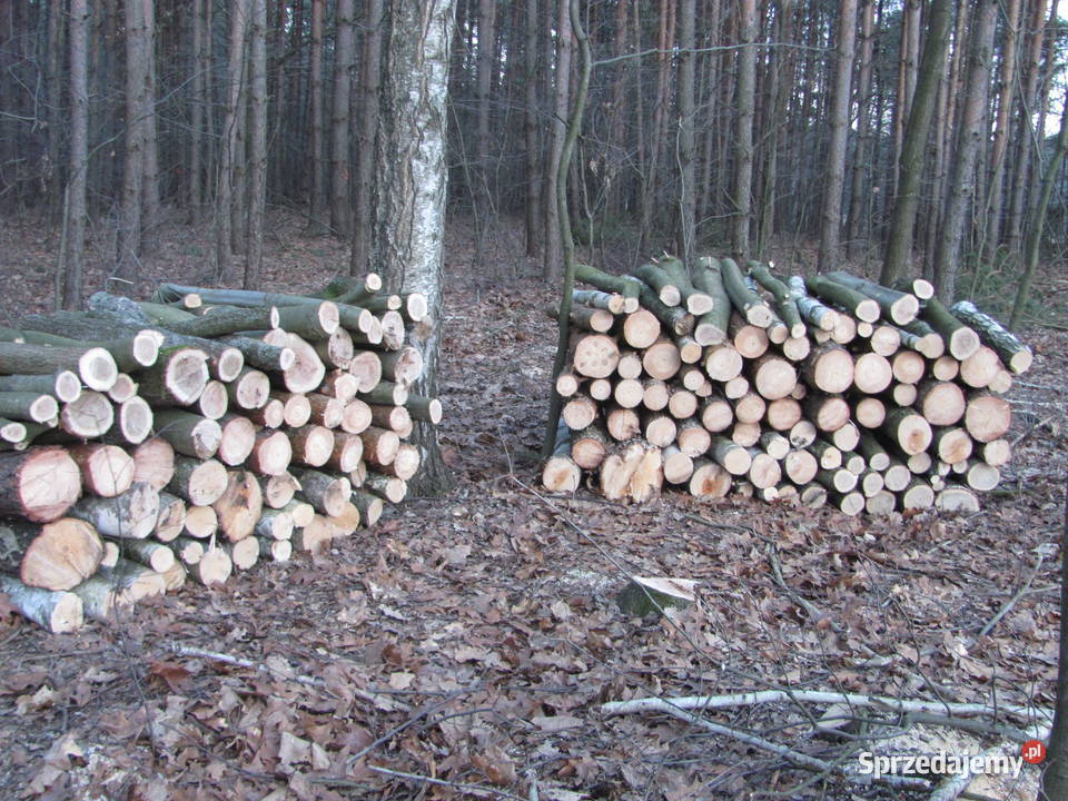 metry gałęzie Opał Ostrów